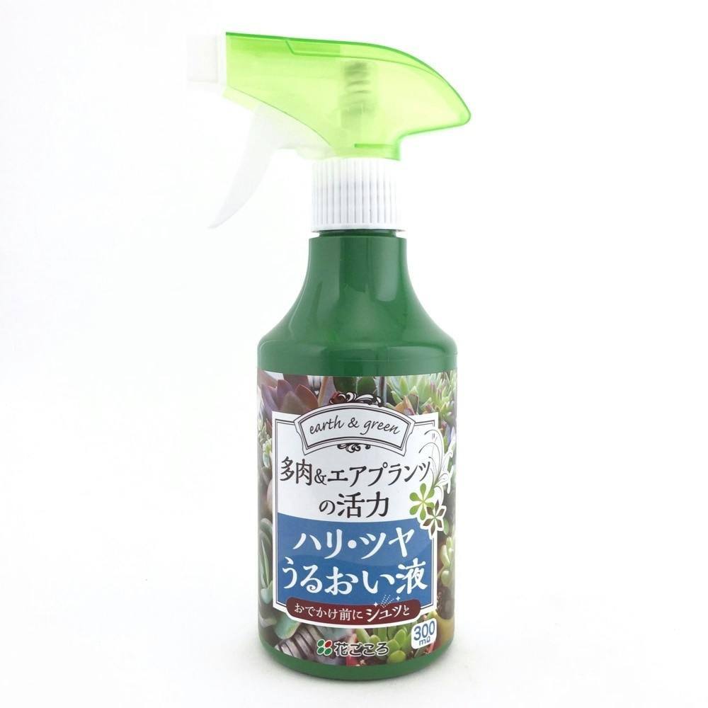 花ごころ 多肉のハリツヤうるおい液 300ml