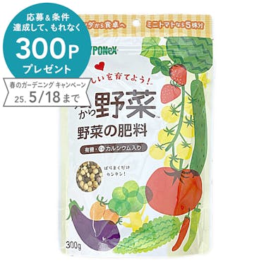 ハイポネックス 今日から野菜 野菜の肥料 300g