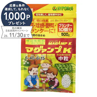 マグァンプK 中粒 元肥 プランター10個分 500g
