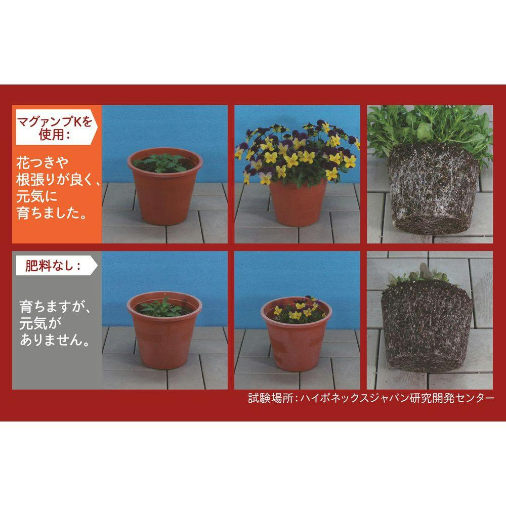 マグァンプK 中粒 元肥 プランター10個分 500g | 用土・肥料 通販