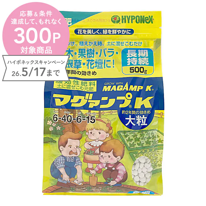 マグァンプK 大粒 元肥 長期持続 500g