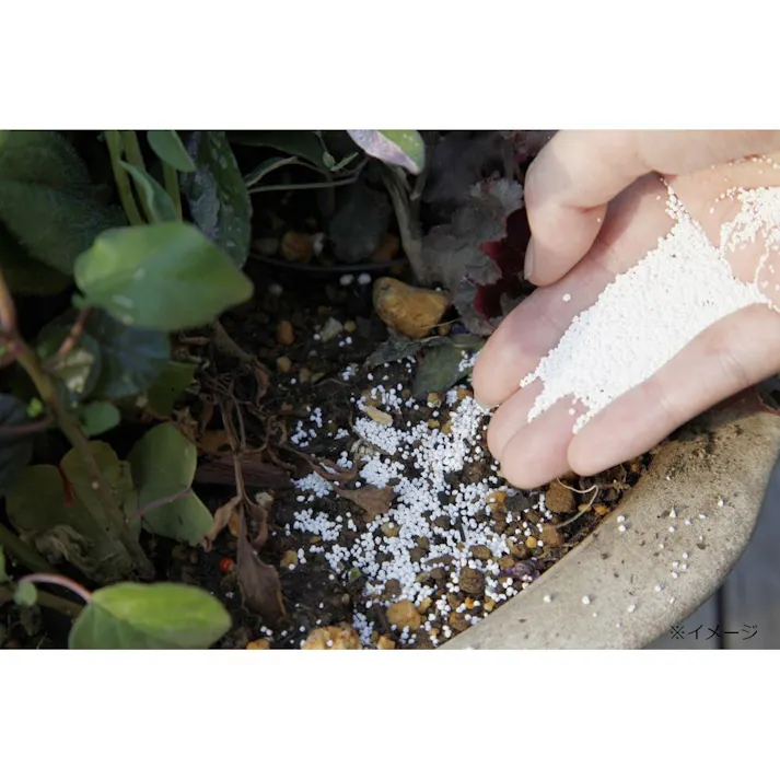 マグァンプK 小粒 追肥 ひと株小さじ一杯 500g