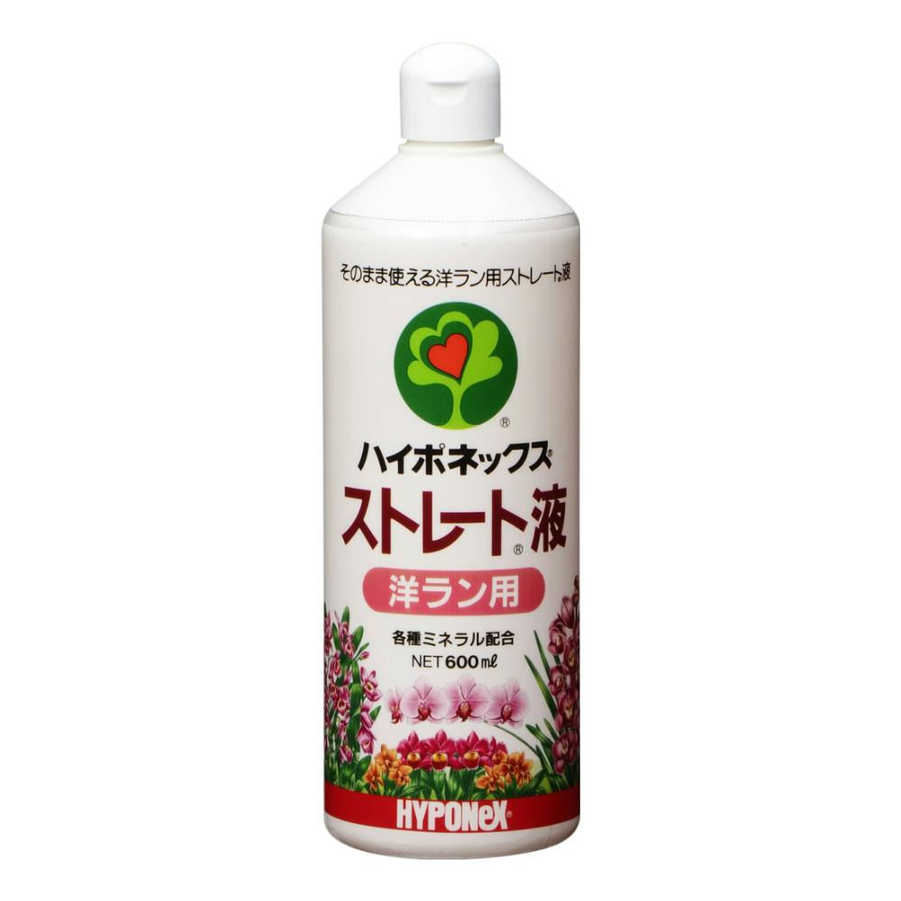ストレート液 洋ラン用 600ml