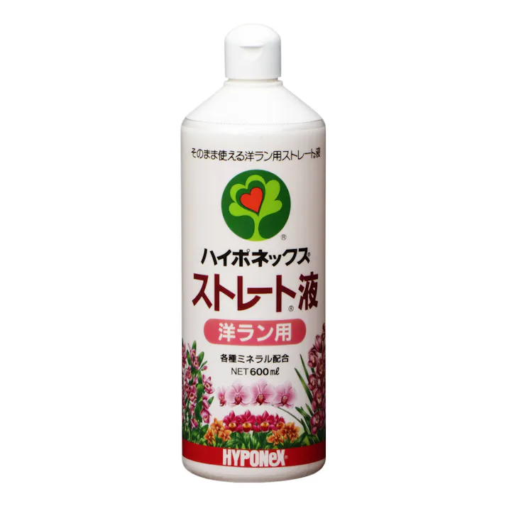ストレート液 洋ラン用 600ml