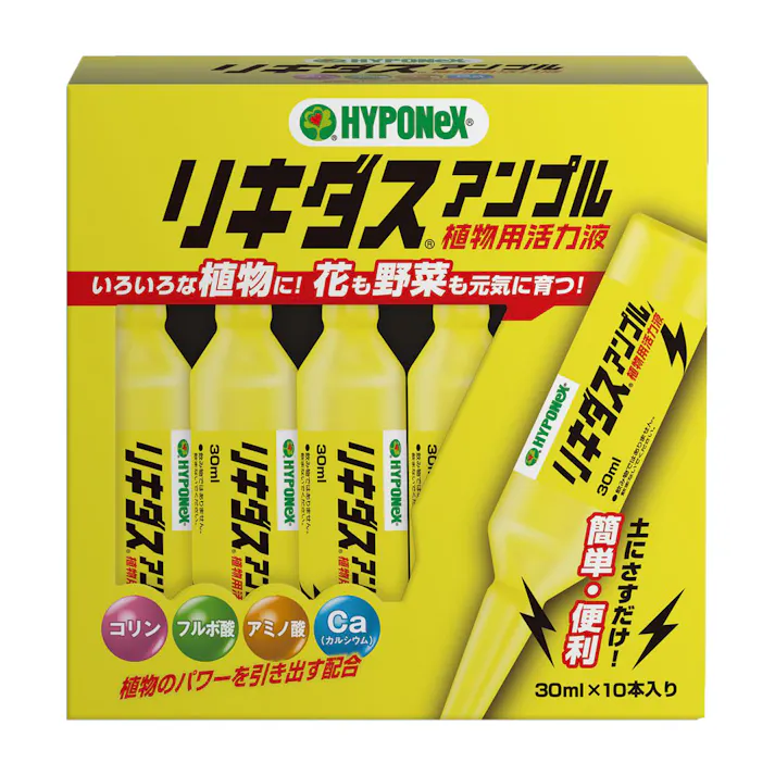 リキダスアンプル 30ml×10本入り