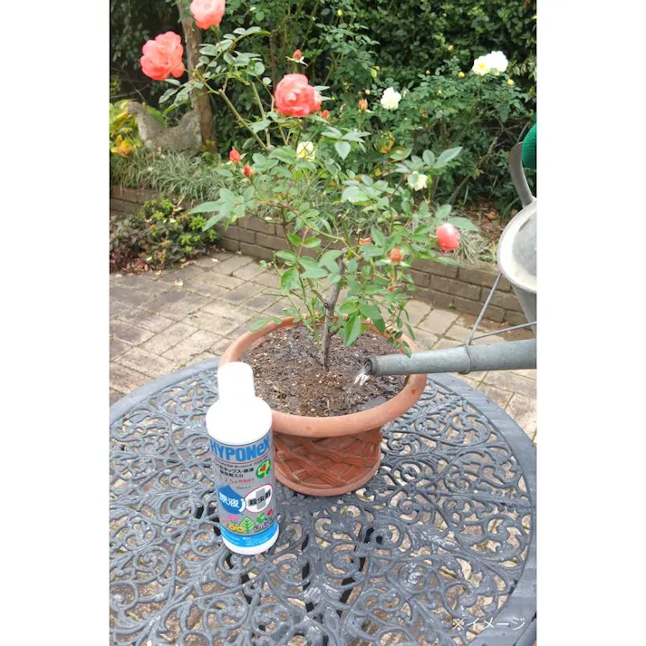 ハイポネックス 原液 殺虫剤入り 450ml