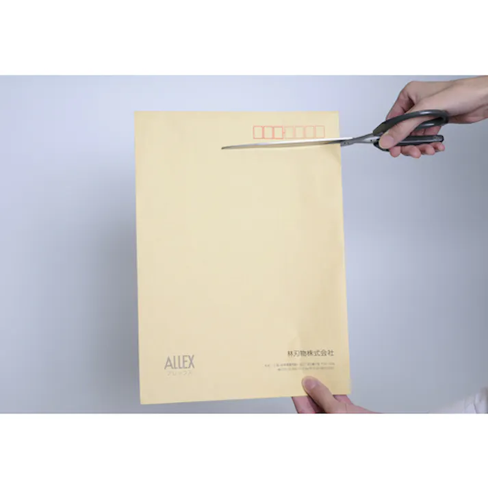 【CAINZ-DASH】林刃物 ジャストサイズハサミS 17112【別送品】