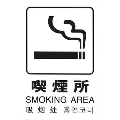 【CAINZ-DASH】光 多国語ピクトサイン　喫煙所 TGP2032-7【別送品】