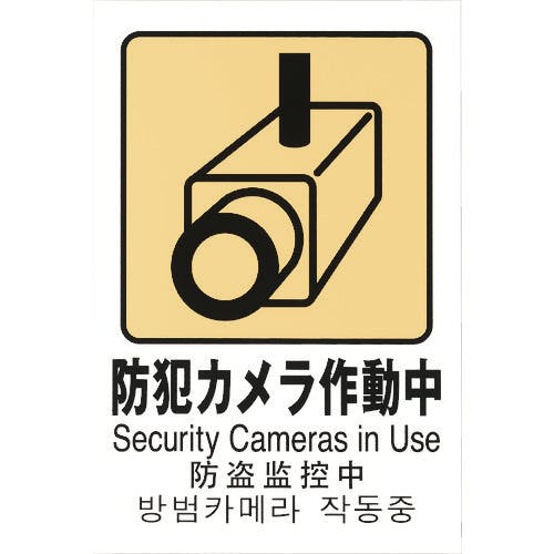 CAINZ-DASH】光 多国語ピクトサイン 防犯カメラ作動中 TGP2032-8【別送