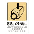 【CAINZ-DASH】光 多国語ピクトサイン　防犯カメラ作動中 TGP2032-8【別送品】