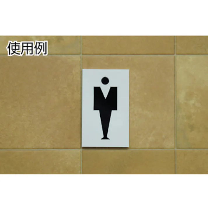 【CAINZ-DASH】光 化粧室 TOILET UP505-3【別送品】