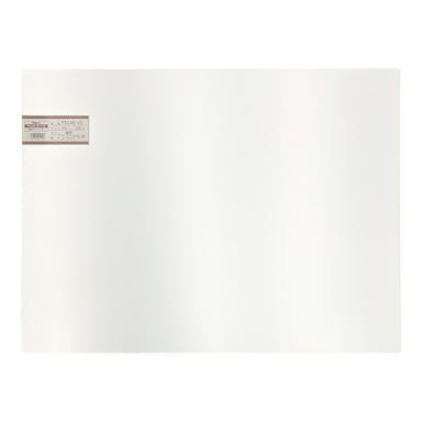 光 PAC46-20 ペットエース 透明 450×600×2mm