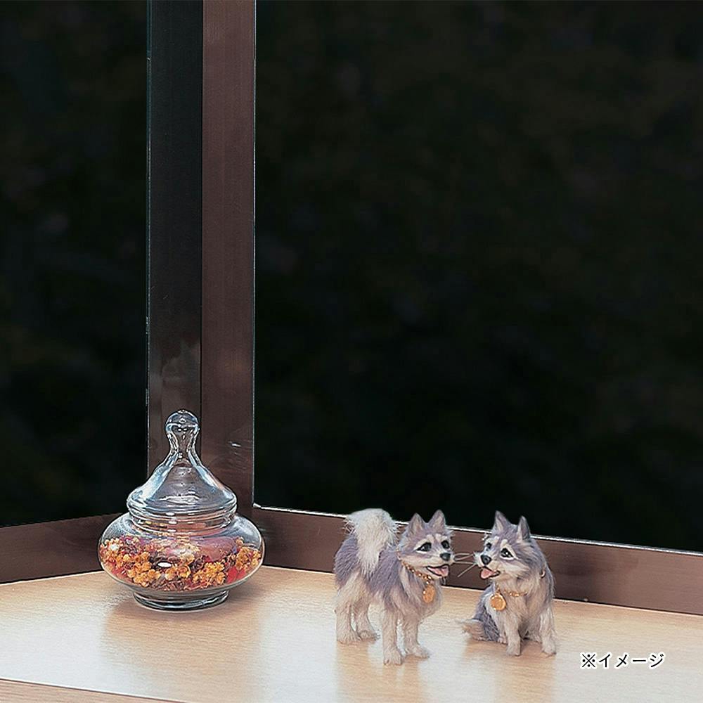 超珍品！ カイラス産 コーンタイプドルージーとクリアポイント 超珍品！ カイラス産 コーンタイプドルージーとクリアポイント