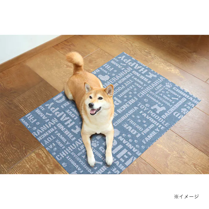 防滑消臭マット INSF201 英字B 120×180cm