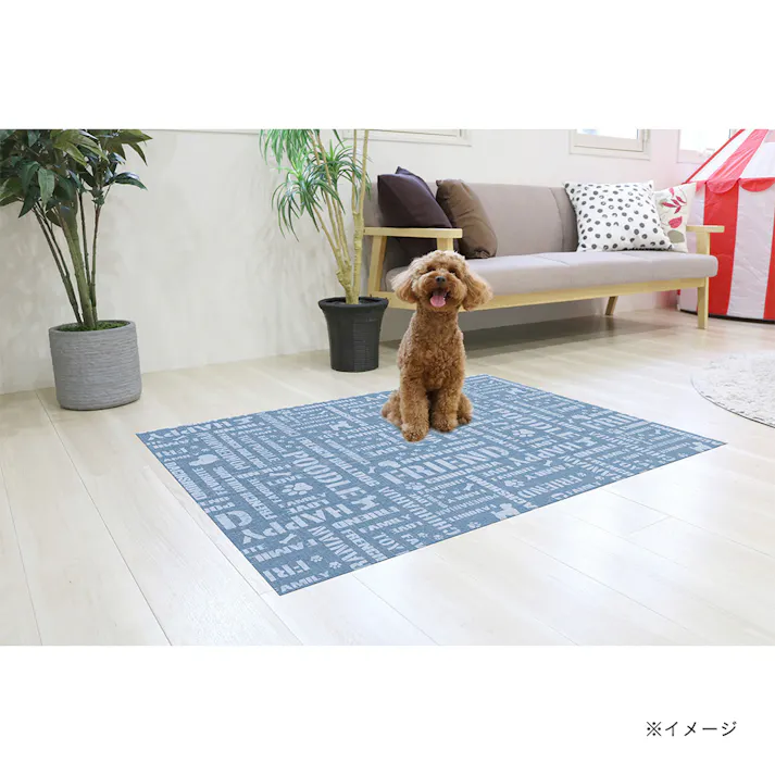 防滑消臭マット INSF201 英字B 120×180cm