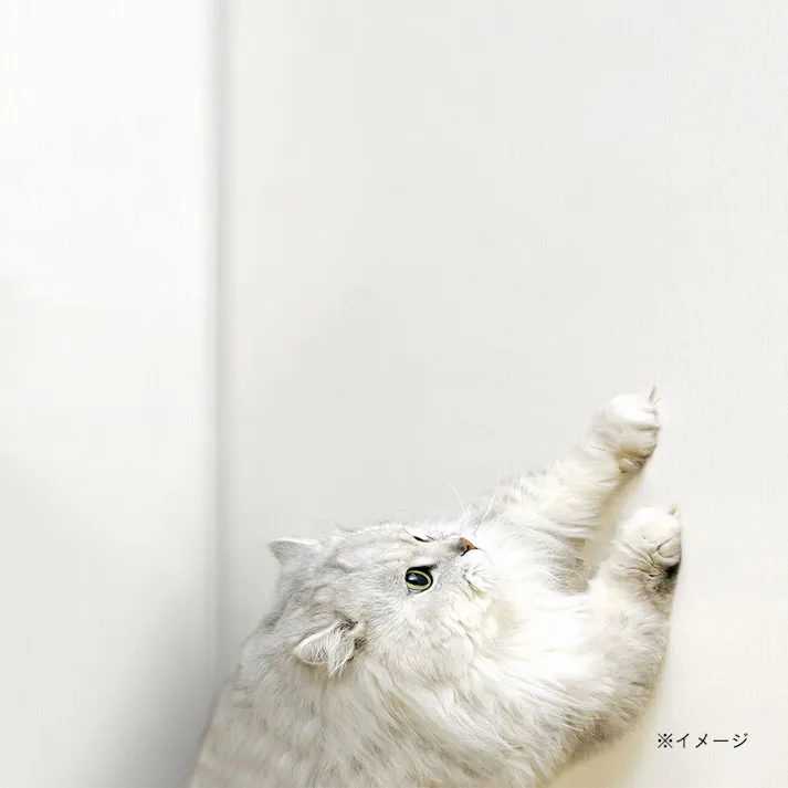 壁紙保護シート白無地CZWAS-300 45巾