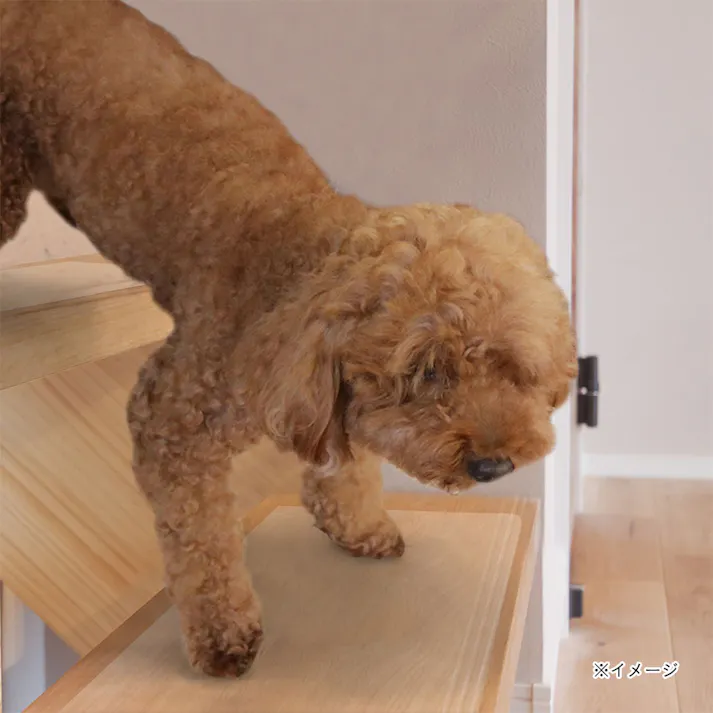 透明階段マット 40cm×20cm 7枚入