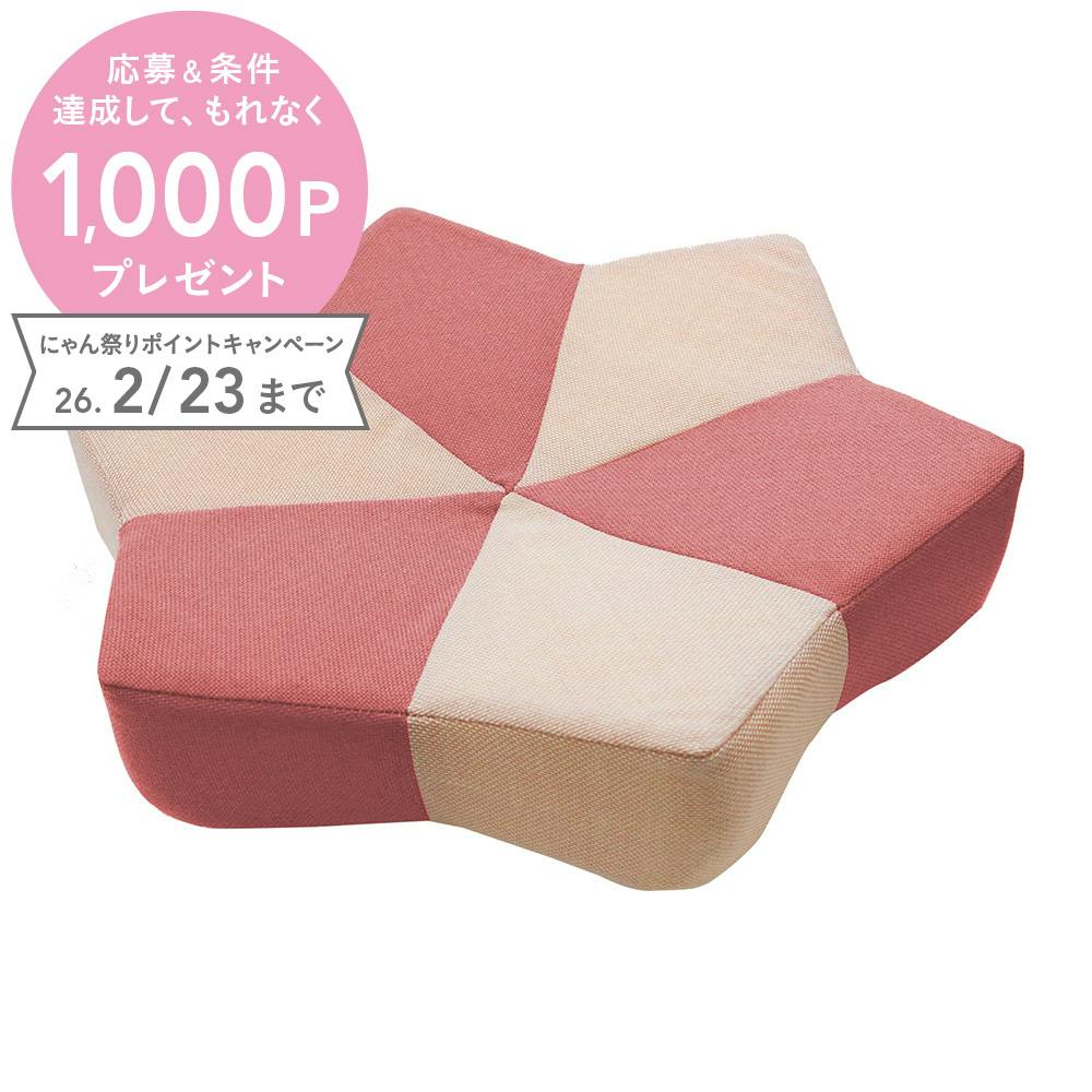 ガリボロスター GBS-01 P