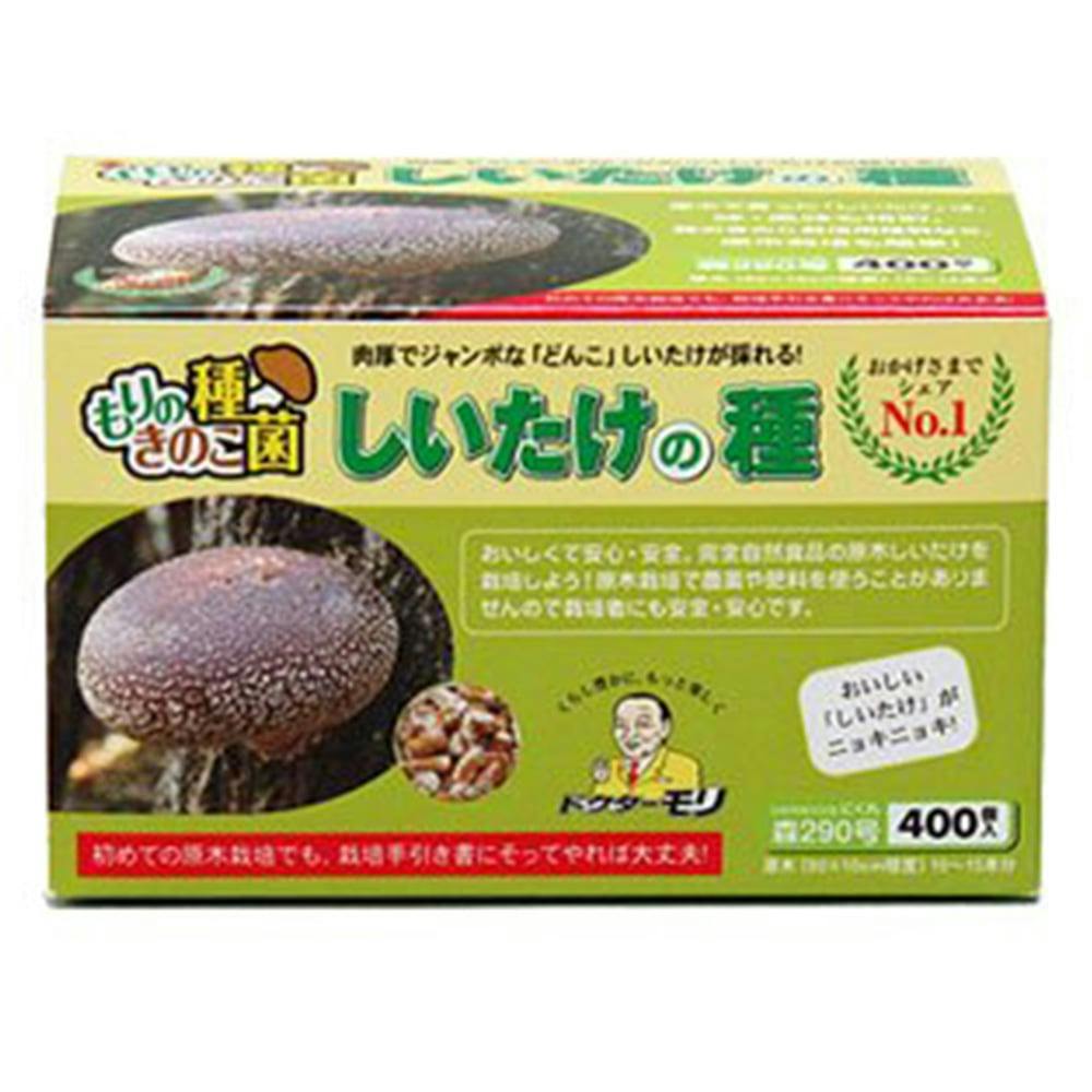 シイタケです しいたけの種 種駒 800個入(販売終了) | 播種・育苗資材 通販