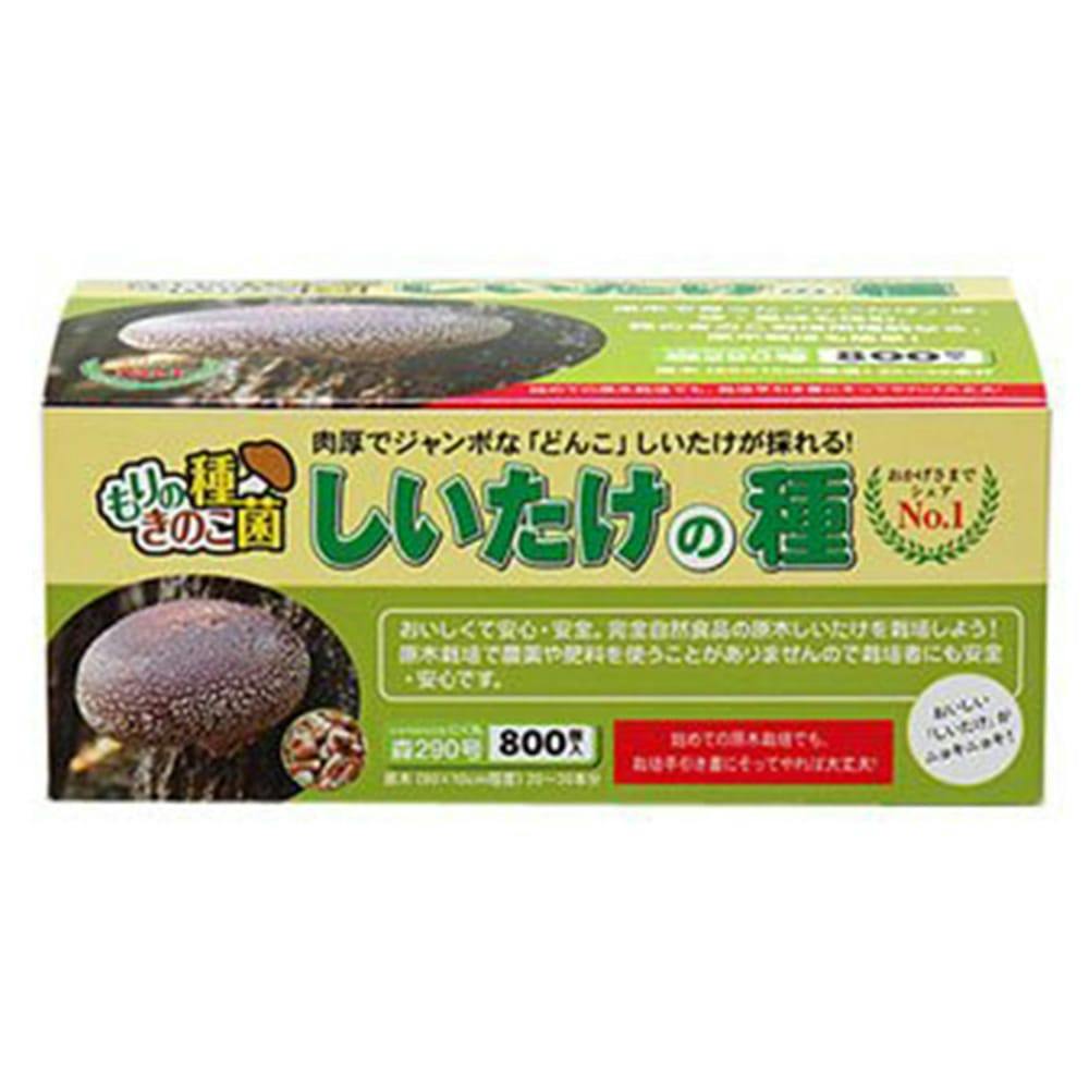 しいたけの種 種駒 800個入(販売終了) | 播種・育苗資材 通販