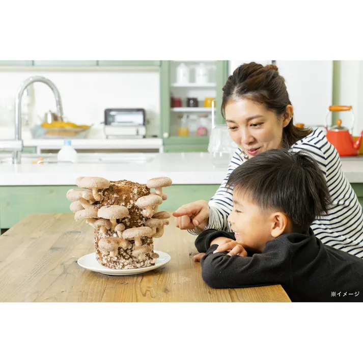 もりのしいたけ農園 栽培キット