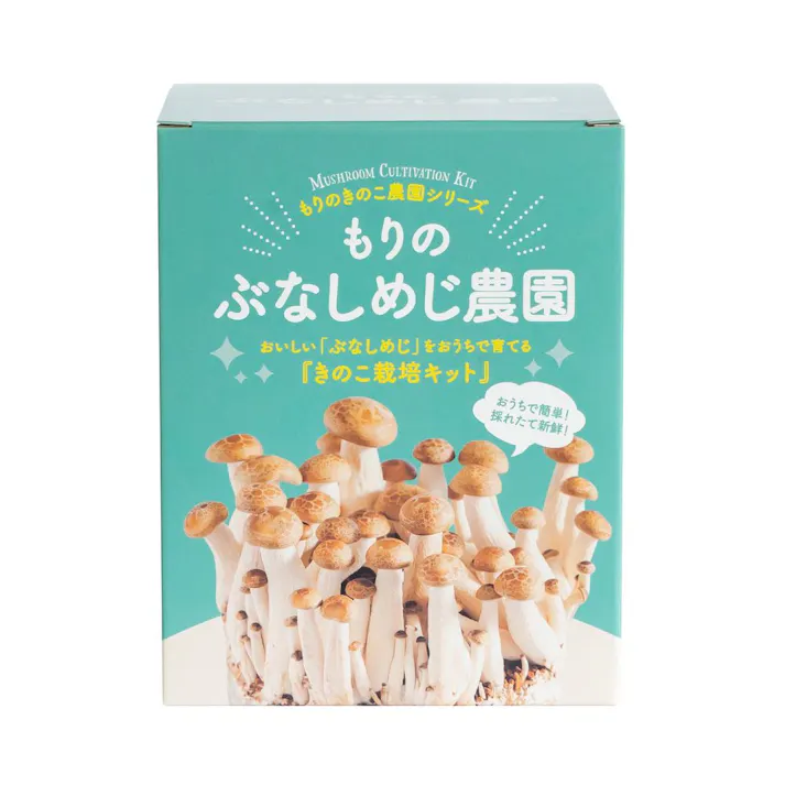 もりのぶなしめじ農園 栽培キット