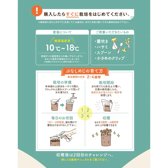 もりのぶなしめじ農園 栽培キット