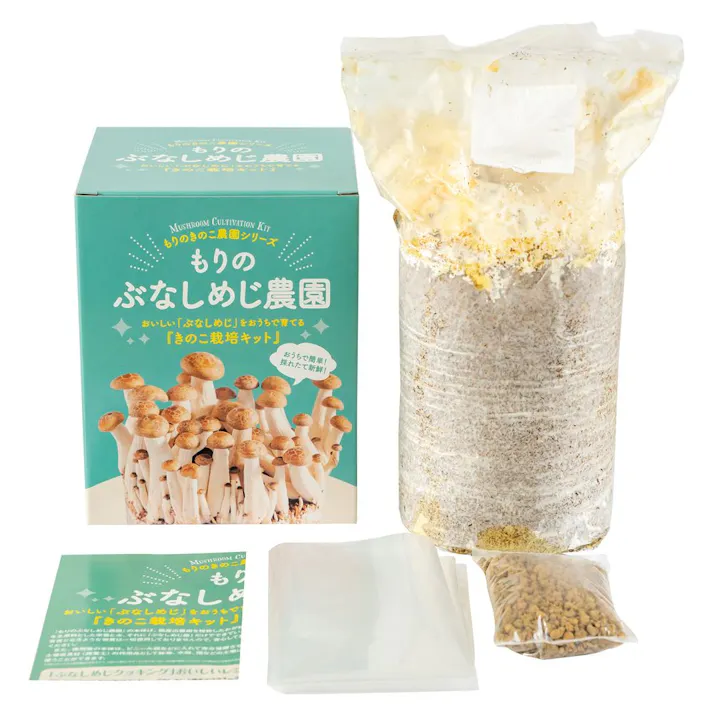 もりのぶなしめじ農園 栽培キット