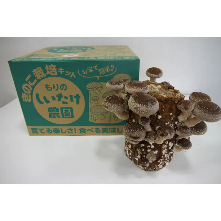 もりのしいたけ農園 栽培キット