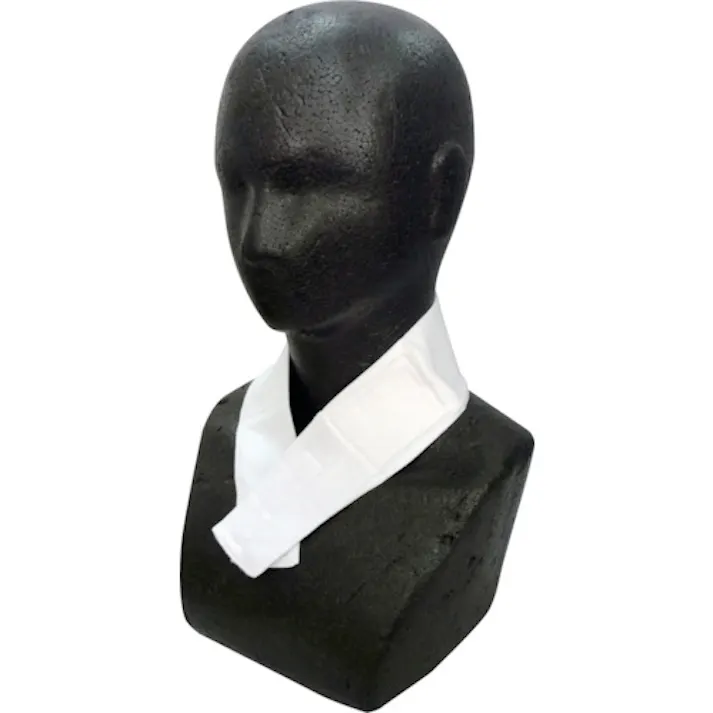 【CAINZ-DASH】三重化学工業 竹糸くん 首用クールバンド ホワイト NO.TK10-WH【別送品】