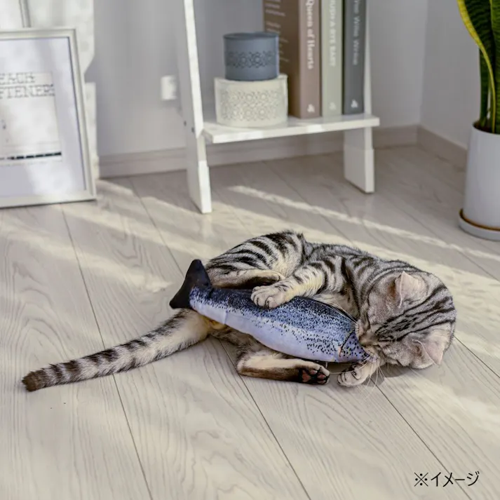 カインズ限定 動く!!けりけりおもちゃ