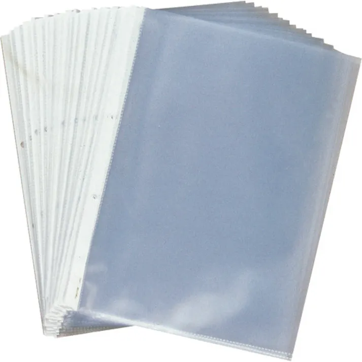 【CAINZ-DASH】マルマン A4 クリアポケットリーフ 2穴50枚 L462F【別送品】