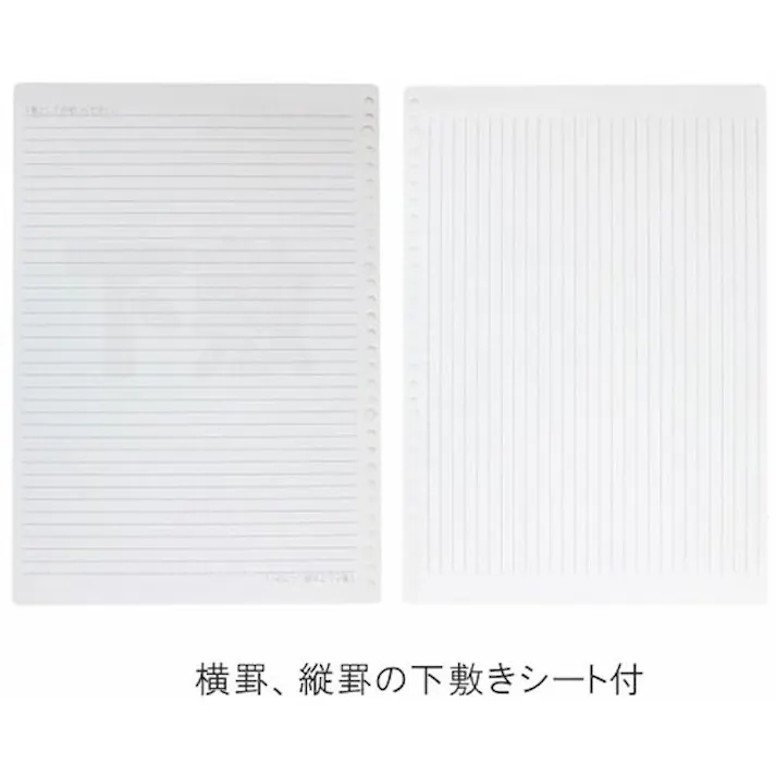 【CAINZ-DASH】マルマン A4 ルーズリーフ 無地 100枚 L1106H【別送品】