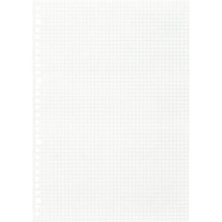 【CAINZ-DASH】マルマン A4 ルーズリーフ 5mm方眼罫100枚 L1107H【別送品】
