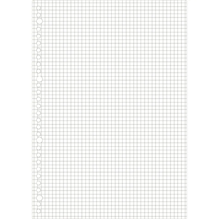 【CAINZ-DASH】マルマン A4 ルーズリーフ 5mm方眼罫100枚 L1107H【別送品】