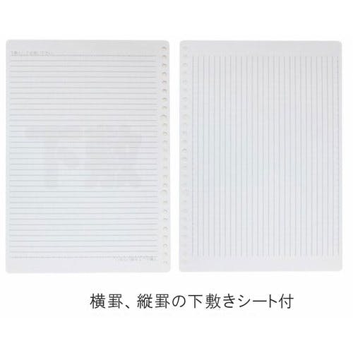 CAINZ-DASH】マルマン B5 ルーズリーフ 無地 100枚 L1206H【別送