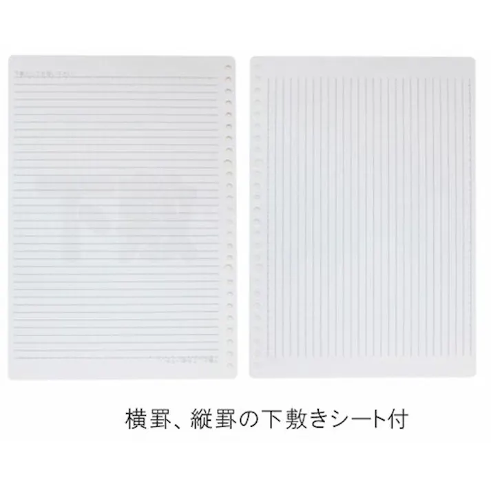 【CAINZ-DASH】マルマン B5 ルーズリーフ 無地 100枚 L1206H【別送品】