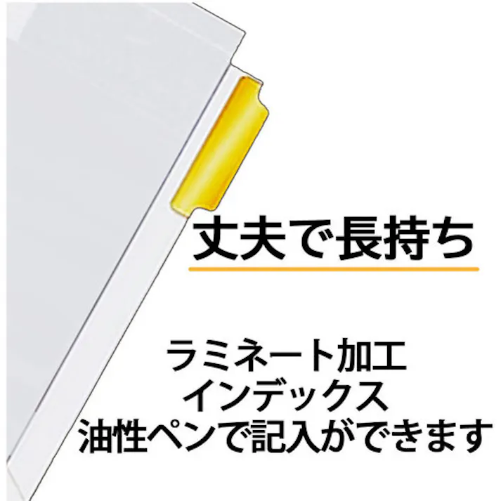 【CAINZ-DASH】マルマン A4 ラミタブ見出し 2穴12山 5組 LT4212F【別送品】