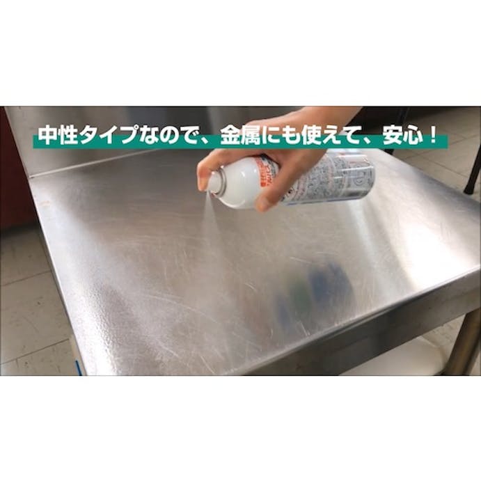 【CAINZ-DASH】横浜油脂工業 アルパス　３５５ｍｌ　厨房用除菌スプレー（１４４３） QC01【別送品】