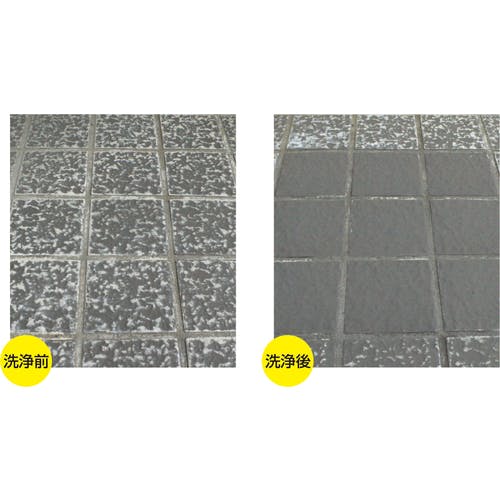 CAINZ-DASH】横浜油脂工業 スケールシェーブ 4Kg／CS SA05