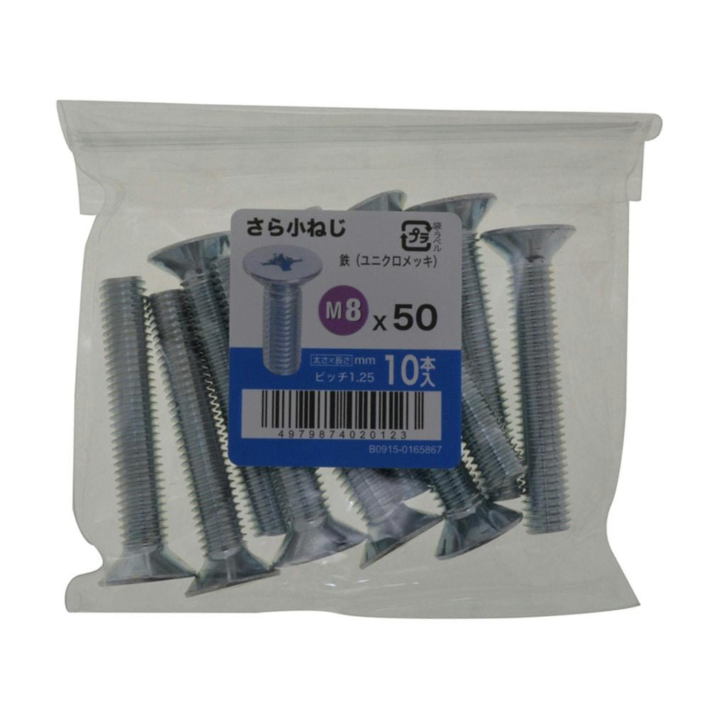 さら小ねじ 10入り 8×50