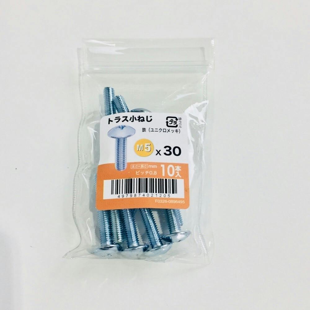 トラス小ねじ 10入り 5×30
