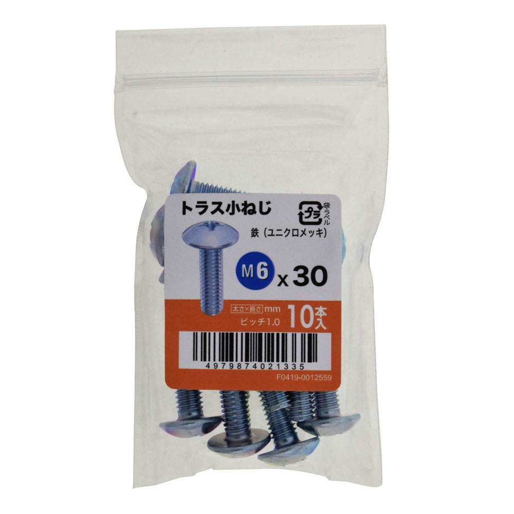 トラス小ねじ 10入り 6×30