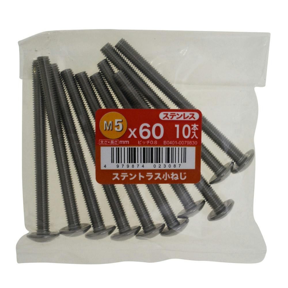ステントラス小ねじ 10入り 5×60