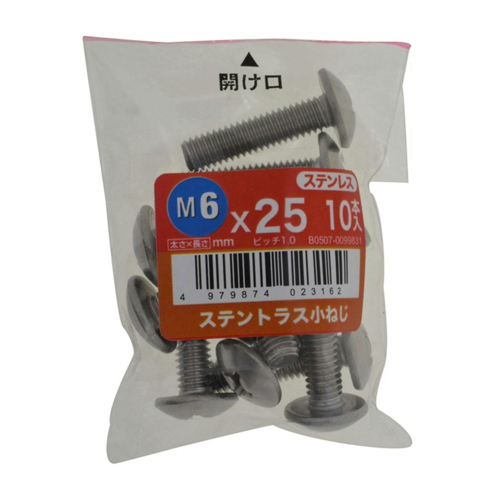 ステントラス小ねじ 10入り 6×25