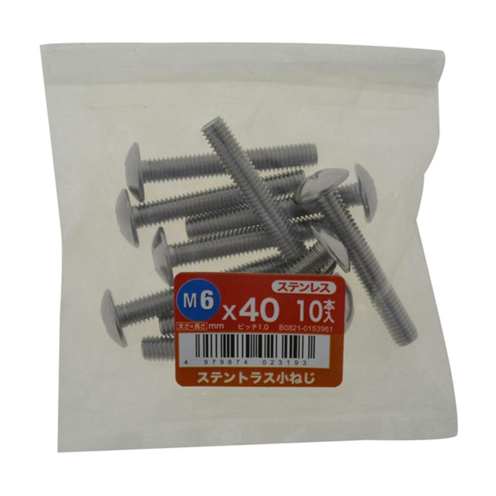 ステントラス小ねじ 10入り 6×40