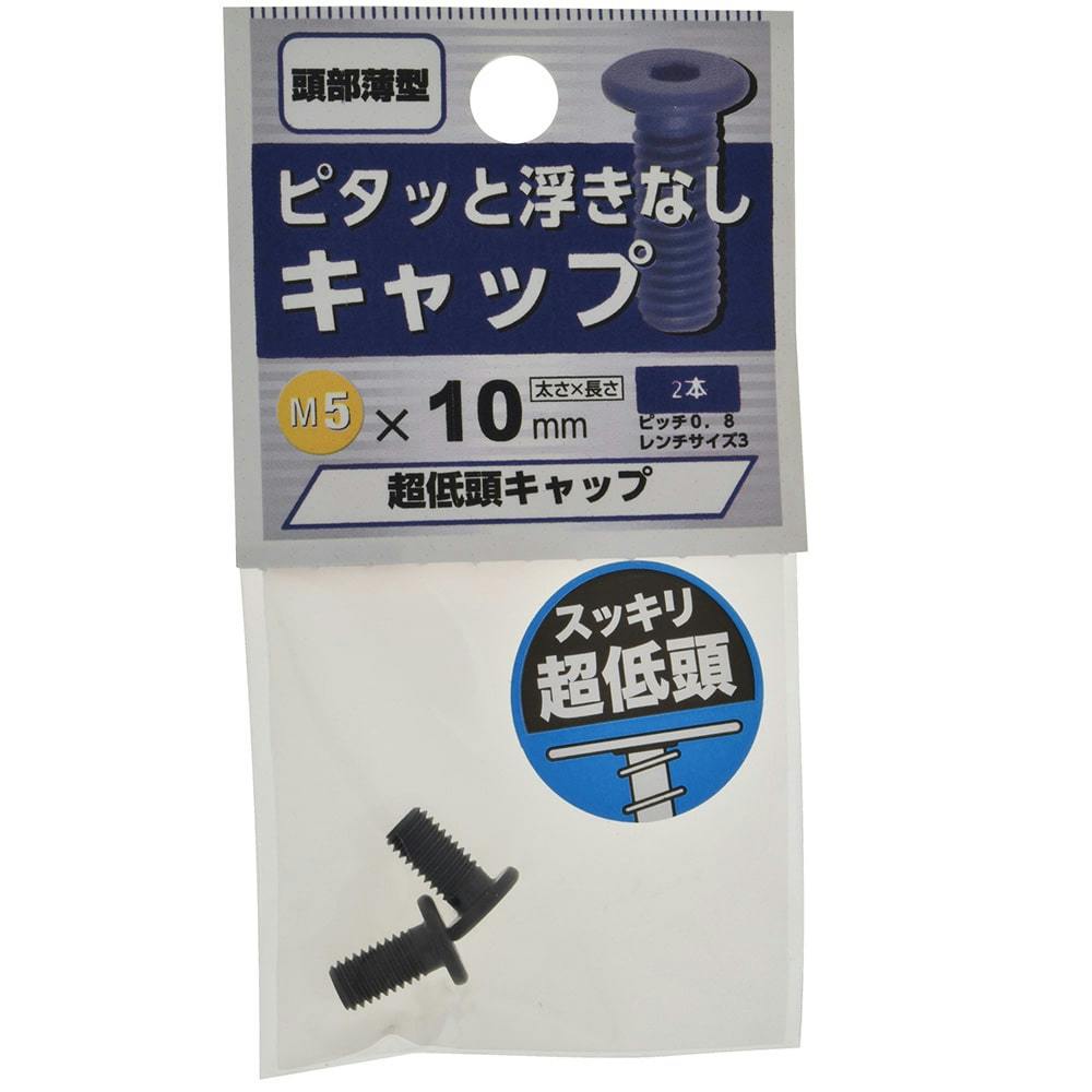 超低頭六角穴付ボルト 5×10 | ねじ・くぎ・針金・建築金物 通販