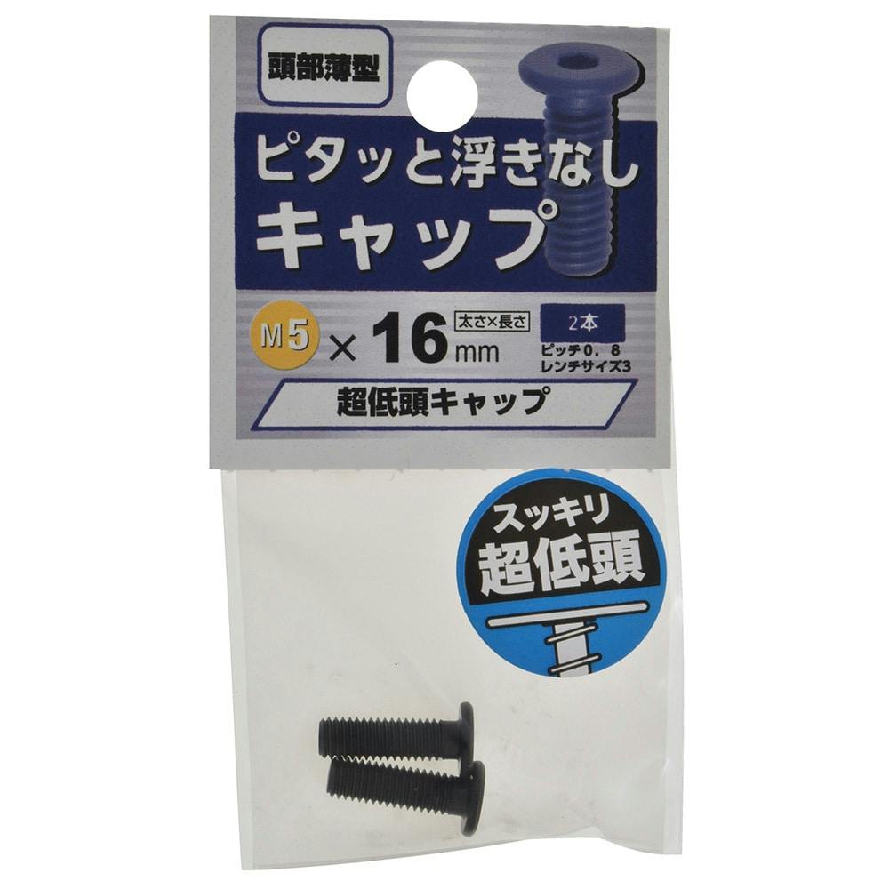 超低頭六角穴付ボルト 5×16 | ねじ・くぎ・針金・建築金物 通販