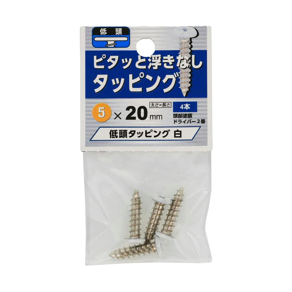 ^bsO ᓪ  M5×20mm ^bsO˂