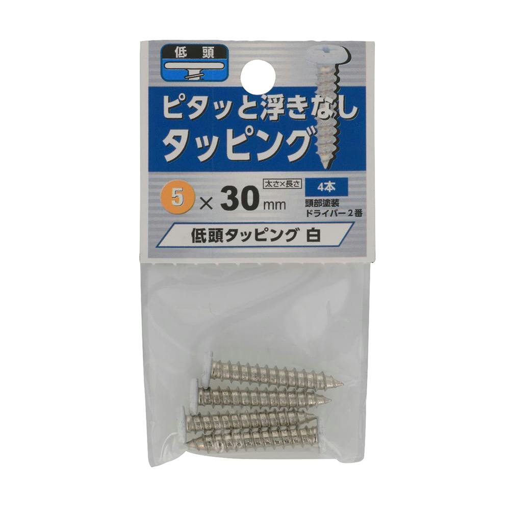 タッピング 低頭 白 M5×30mm タッピングねじ タッピング 低頭 白 M5×30mm タッピングねじ
